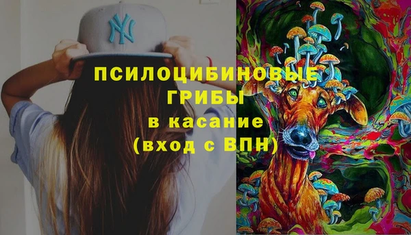 мяу мяу мука Аркадак