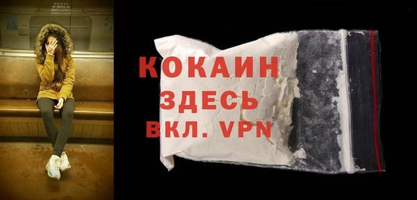 мяу мяу мука Аркадак
