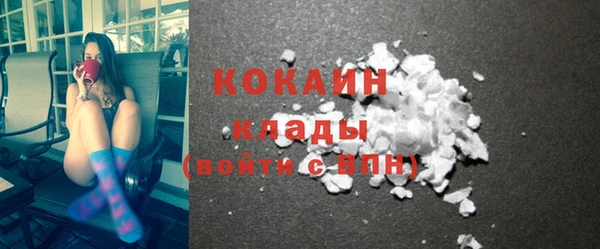 мяу мяу мука Аркадак